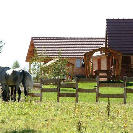 Le Hameau Des Grilles Saint-Fargeau (Yonne) Exterior foto
